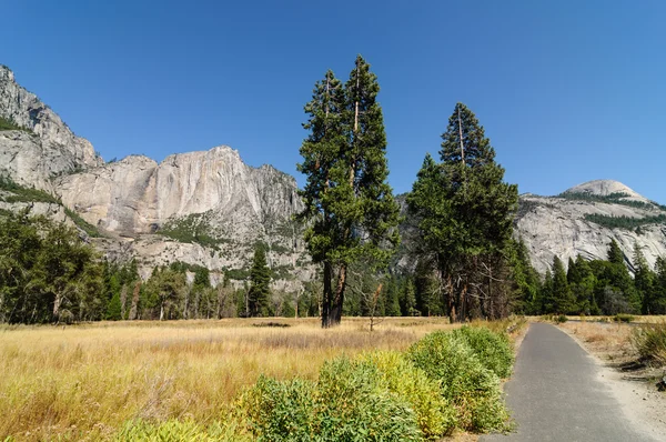 Photo yosemite national park on a beautiful sunny day — Stock Photo, Image