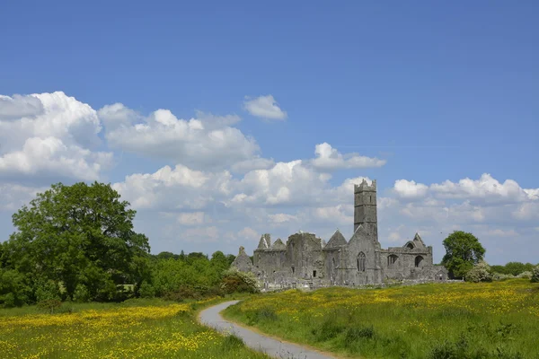 Photographie célèbre monument irlandais, abbaye quin, comté de Clare, ire — Photo