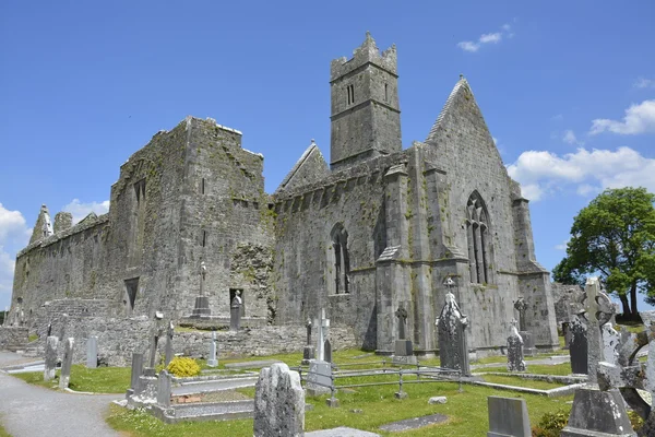Fotózás híres ír landmark, quin abbey, county clare, harag — Stock Fotó