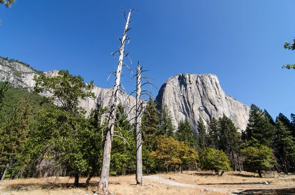 Foto Parque Nacional Yosemite en un hermoso día soleado — Foto de Stock