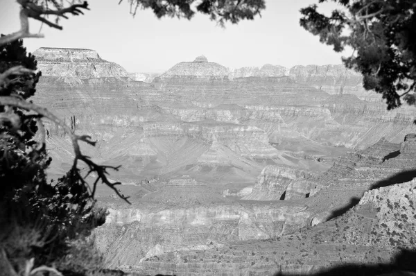 Grand canyon národní park krajina, arizona, usa — Stock fotografie