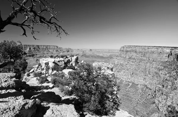 グランドキャニオン国立公園の風景、アリゾナ州、米国 — ストック写真