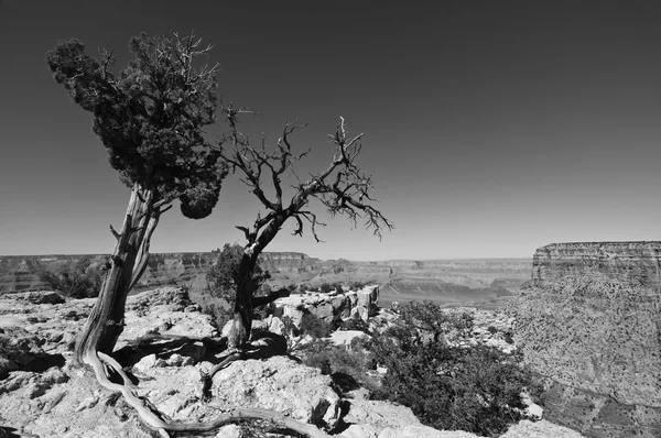 Parco nazionale del Grand canyon paesaggio, arizona, usa — Foto Stock