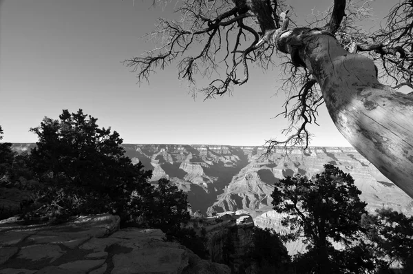 Grand canyon národní park krajina, arizona, usa — Stock fotografie