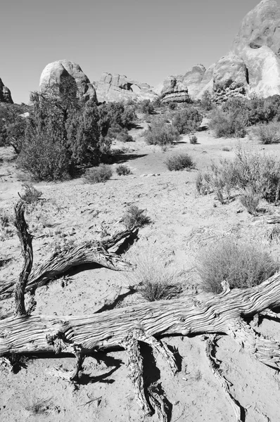 Ciel bleu, journée ensoleillée à Arches Canyon, Utah. États-Unis — Photo