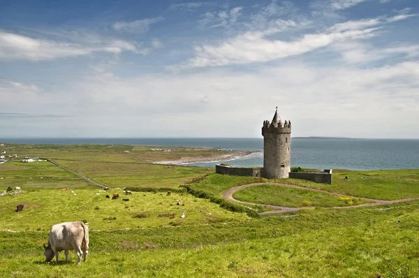 Régi ír kastély Írország nyugati partján — Stock Fotó