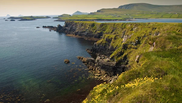 Piękne malownicze krajobrazu wiejskiego z pierścienia kerry ireland — Zdjęcie stockowe