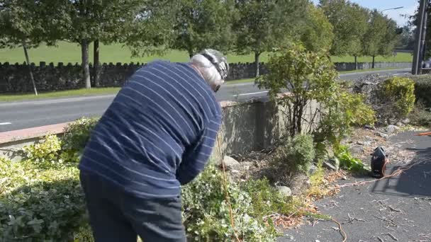 Uomo anziano in giardino tagliando le siepi con un utensile elettrico . — Video Stock