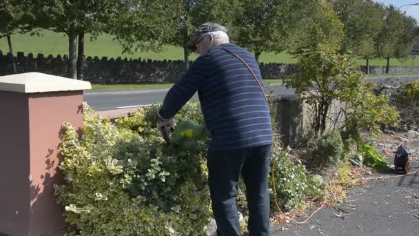 Uomo anziano in giardino tagliando le siepi con un utensile elettrico . — Video Stock