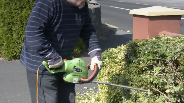 Macho sênior no jardim cortando sebes com uma ferramenta elétrica . — Vídeo de Stock