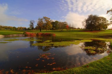 doğal güzel doğa açık peyzaj