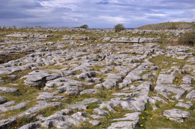 Burren Milli Parkı kireçtaşı manzara İrlanda