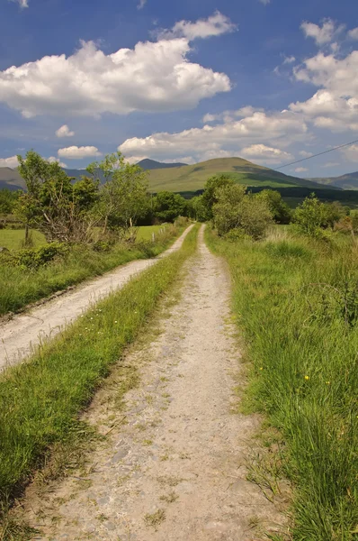 Lebendige Landstraße durch ländliche Berglandschaft, blauer Himmel — Stockfoto