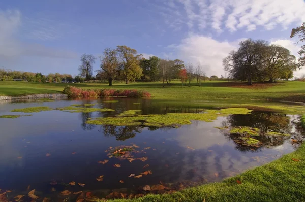 Campo de golfe parque lagoa por árvores e céu azul — Fotografia de Stock