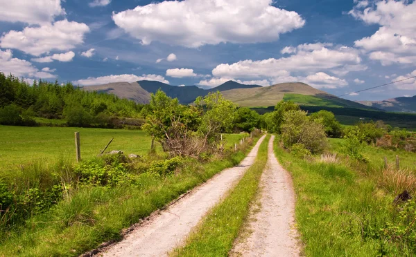 Vibrante paesaggio panoramico da ovest dell'Irlanda — Foto Stock