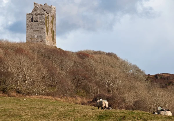 Antiguo castillo irlandés en el oeste de Irlanda —  Fotos de Stock