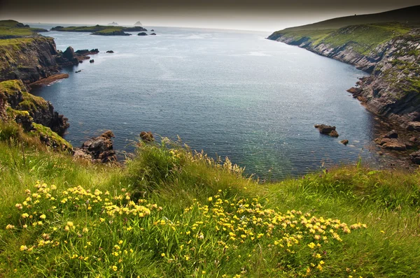 Hermoso paisaje vibrante paisaje y cinta de mar oeste Irlanda — Foto de Stock