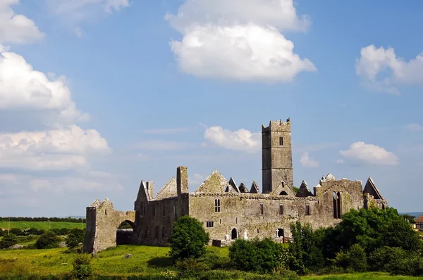 Quin abtei, berühmt in county clare, irland — Stockfoto