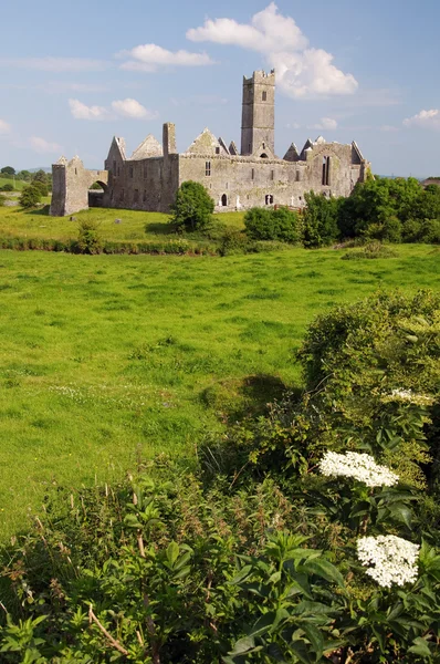 Quin abtei, berühmt in county clare, irland — Stockfoto