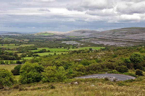 Il paesaggio calcareo del Burren National Park in Irlanda — Foto Stock