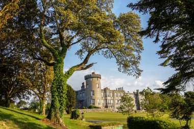 county clare, İrlanda İrlandalı kale