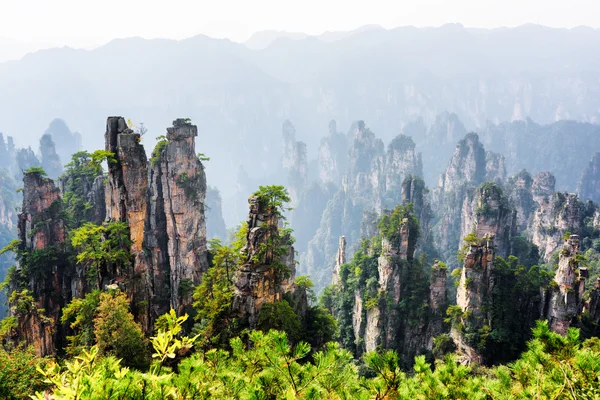 Quartz sandstone pillars, the Tianzi Mountains (Avatar Rocks) — Stock Photo, Image