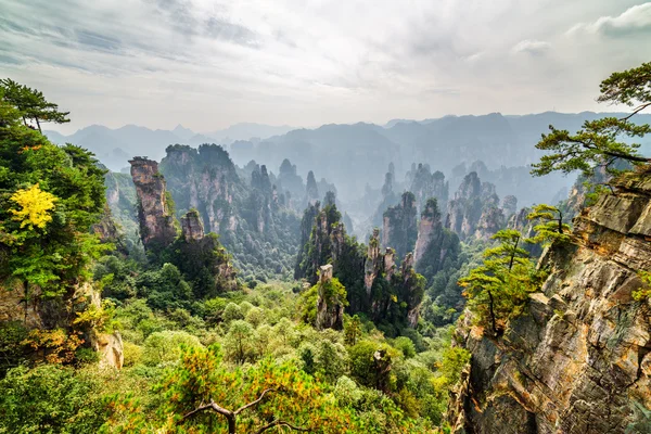 Pietre arenarie naturali al quarzo tra i boschi (Montagne Avatar ) — Foto Stock