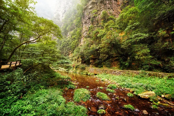 Scenic river with crystal clear water at bottom of deep gorge — Stock Photo, Image