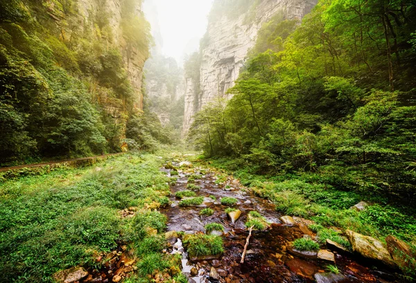 Schilderachtig uitzicht op de rivier met kristalhelder water onderaan de diepe kloof — Stockfoto