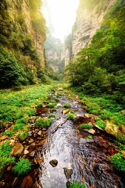 Hermosa vista del río con agua cristalina en el fondo de profundo gor — Foto de Stock