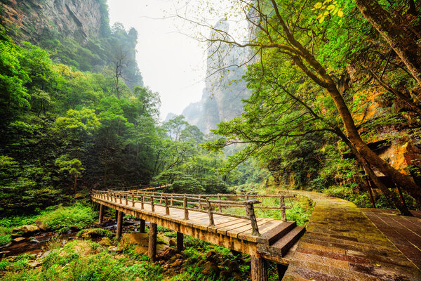 Scenic view of wooden bridge over river with crystal clear water at bottom of deep mountain gorge among green woods and steep cliffs in the Zhangjiajie National Forest Park, Hunan Province, China.