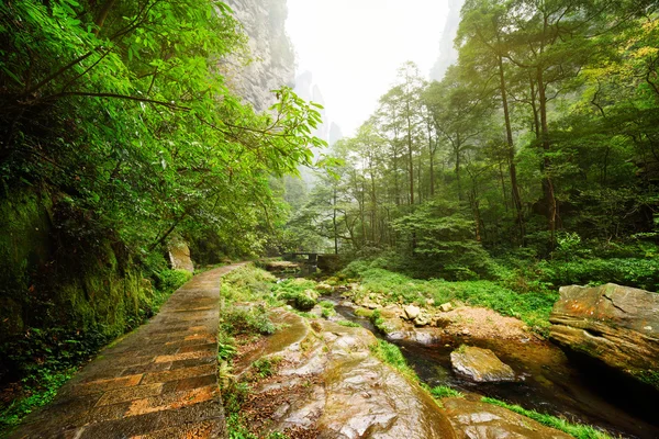 Scenic stone walkway along river. Amazing summer landscape — Stock Photo, Image