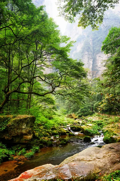 Kristal su ve yosunlu taşlar ile nehrin güzel görünümü — Stok fotoğraf