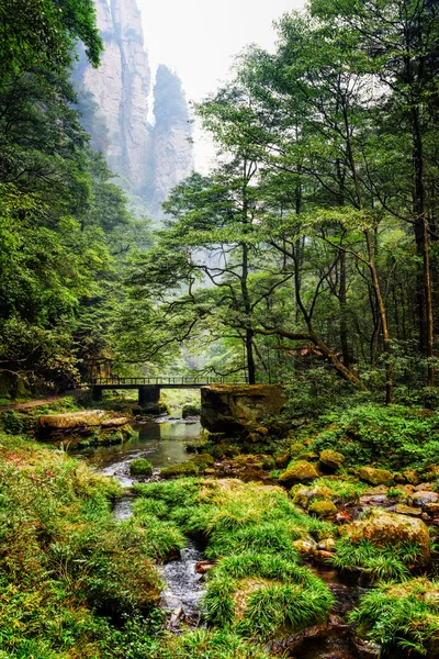 Yeşil ormanlar arasında nehir ve köprü manzara — Stok fotoğraf