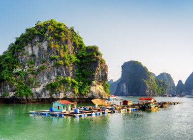 Ha Long Körfezi'nde yüzen balıkçı köyü. Vietnam