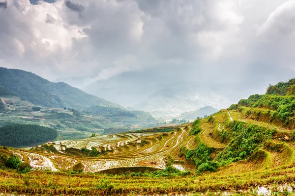 Scenic view of mirror rice terraces filled with water. Vietnam — Stock Photo, Image