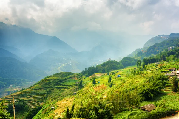 Beautiful view of rice terraces at highlands. Sapa, Vietnam — Stock Photo, Image