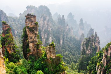 Şaşırtıcı kuvars kum taşı ayağı fantastik şekillerin görünümünü