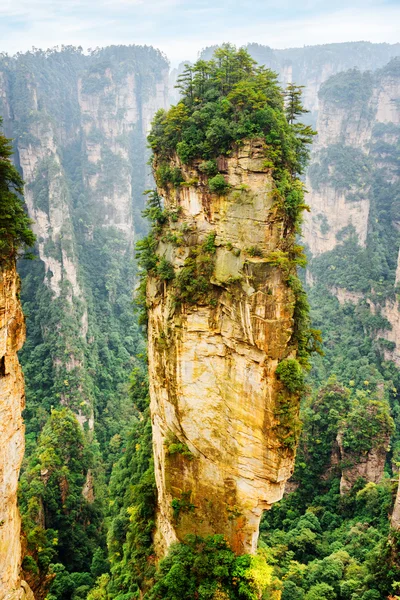 Pietra arenaria al quarzo naturale pilastro Avatar Hallelujah Mountain — Foto Stock