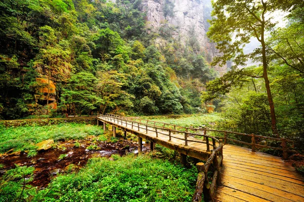 Yellow wooden bridge over mountain river among woods and rocks — 图库照片