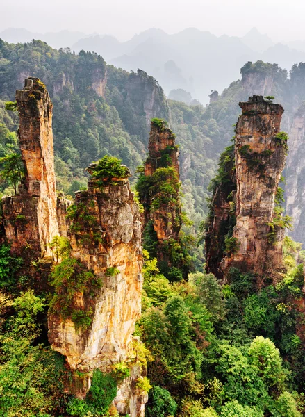 緑の森の中で幻想的な形状の石英砂岩の柱 — ストック写真