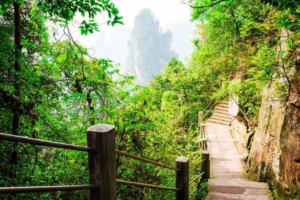 石楼梯沿着陡峭的悬崖 （阿凡达山) — 图库照片