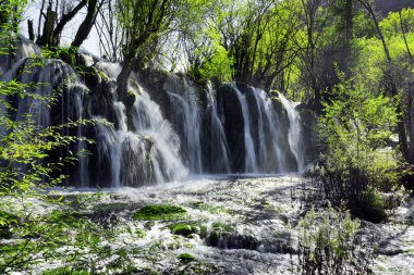 Yeşil orman arasında kristal berraklığında su ile şaşırtıcı şelale