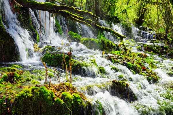 Cachoeira bonita com água cristalina entre madeiras verdes — Fotografia de Stock