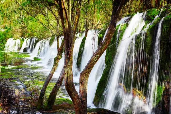 Cachoeira cênica com água cristalina entre madeiras verdes — Fotografia de Stock