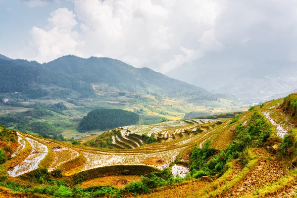 Rice terraces filled with water at highlands of Sa Pa, Vietnam — Stock Photo, Image