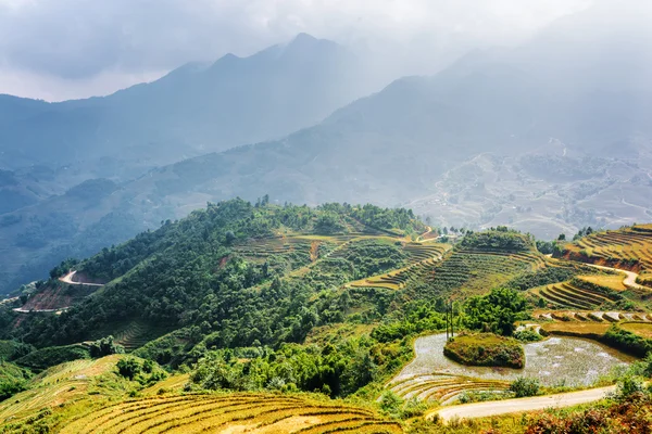 Vistas panorámicas de terrazas de arroz llenas de agua, Vietnam —  Fotos de Stock
