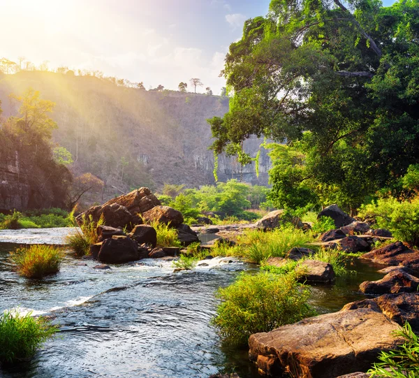 Rivier met kristalhelder water tussen bossen. Zonnig boslandschap — Stockfoto