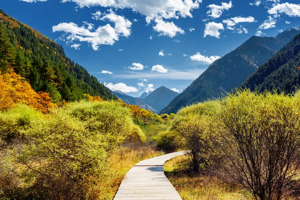 Uferpromenade durch herbstlichen Wald inmitten malerischer bewaldeter Berge — Stockfoto