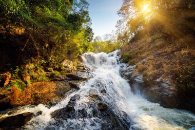 Şelale manzarası güzel. Güneş ağaçların arasından parlıyor